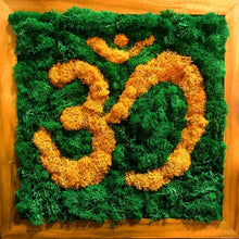 Load image into Gallery viewer, Om Moss Frame with Dark Wood