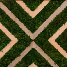 Load image into Gallery viewer, Chevron Designer Preserved Moss Wall Art
