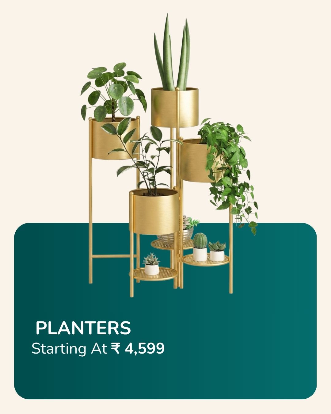 Planters