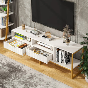 White Modern Steel TV Stand with 2 Drawer
