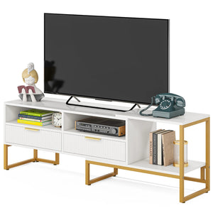 White Modern Steel TV Stand with 2 Drawer