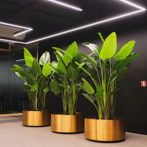 Stunning Round Golden Plant Stand for Indoors Modern Flower