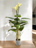 Artificial Peace Lily Plant