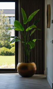 Round Shape Golden Plant Stand for Indoors Modern Flower