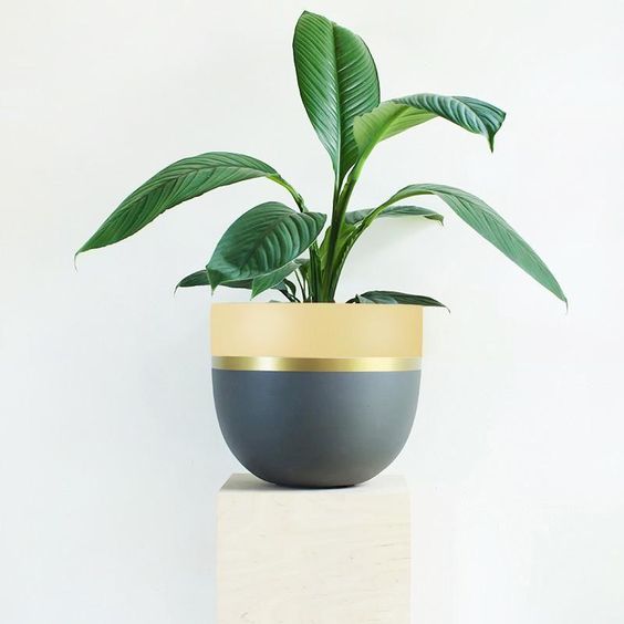 Modern Plant Stand for Indoors