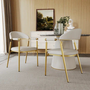 Curvice White Dining Chair