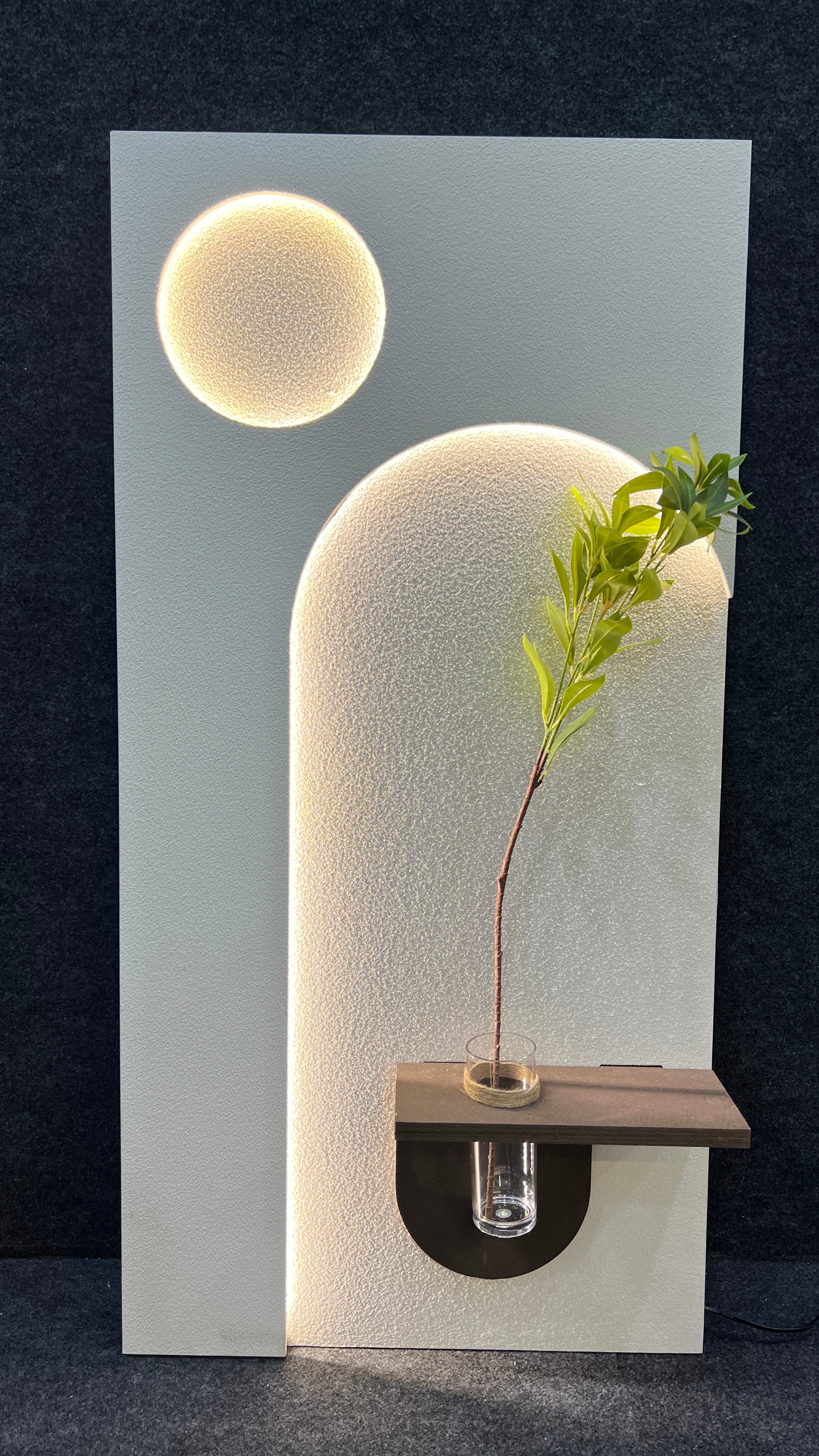 Contemporary Wall Decor with Remote LED Lights