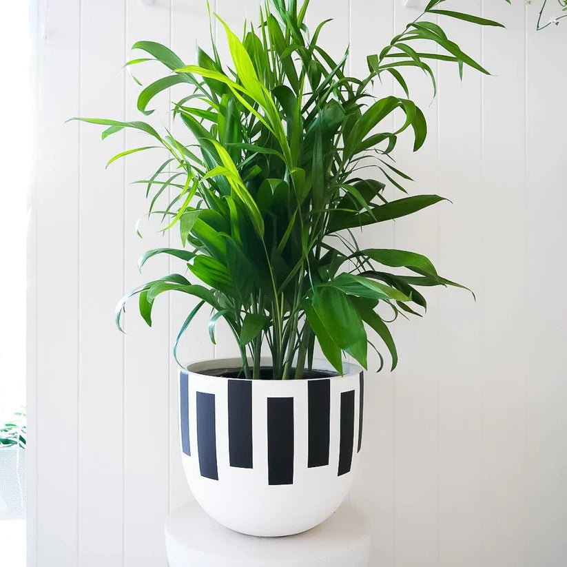 Silhouette Planter