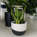 Venice Planter
