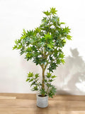Artificial Love For Maple Plant