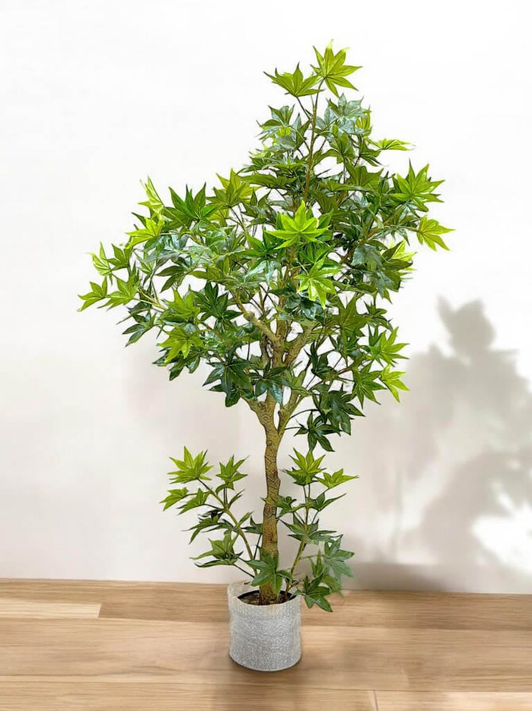 Artificial Love For Maple Plant