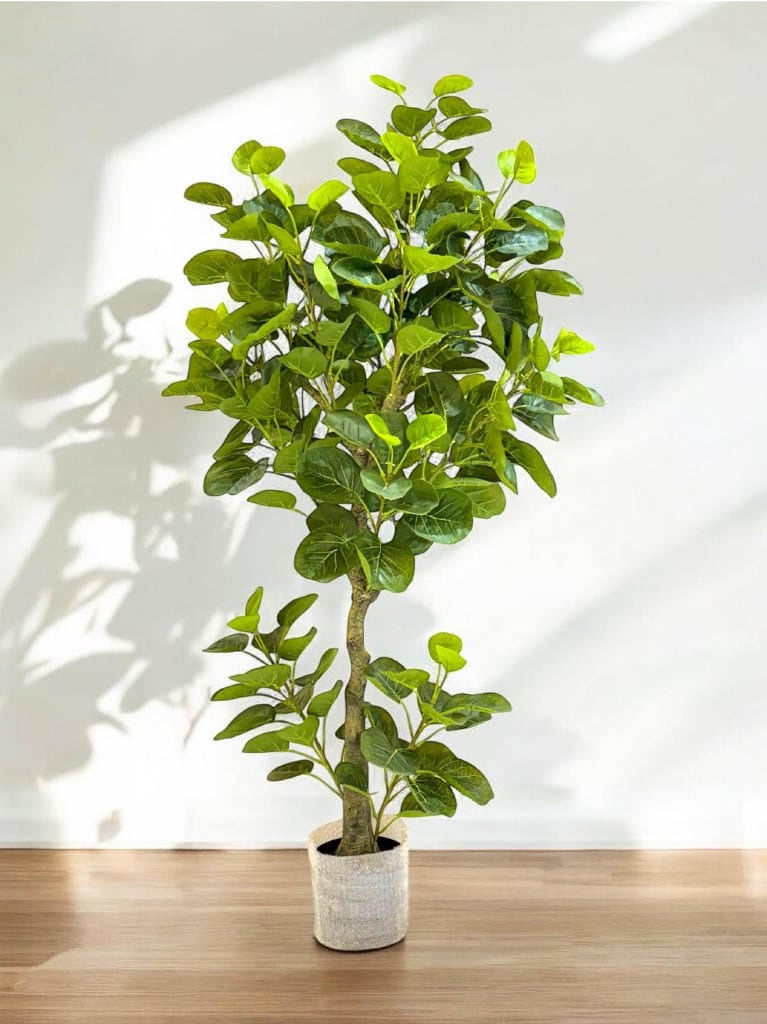 Artificial White Pepeomia Plant