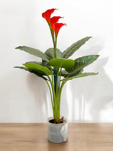 Artificial Red Peace Lily Plant