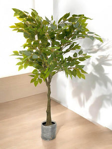 Artificial Magnolia Plant