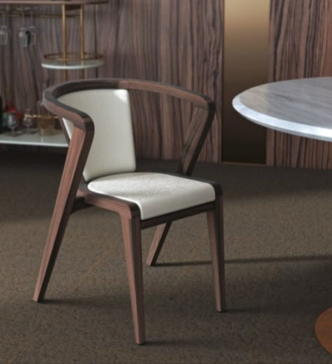 Modern Stylish Dining Chair