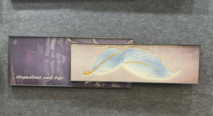 Feather of Grace Dual-Frame Crystal Wall Art