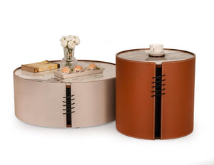 Elegant Modern Centre Table Set Of 2